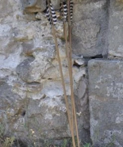 Shop-halona 3x Traditioneller Pfeil, Holzpfeil ULLR, 29 Zoll Beier Bogensport Naturfedern Pfeile