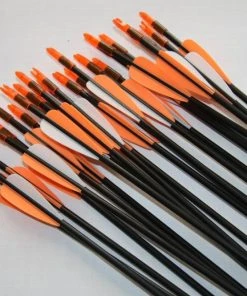 Shop-halona Bogensport 10x Fiberglaspfeil, Edwoods Sportpfeil Halona T1 30" 5 Shop-halona Bogensport 10x Fiberglaspfeil, Edwoods Sportpfeil Halona T1 30