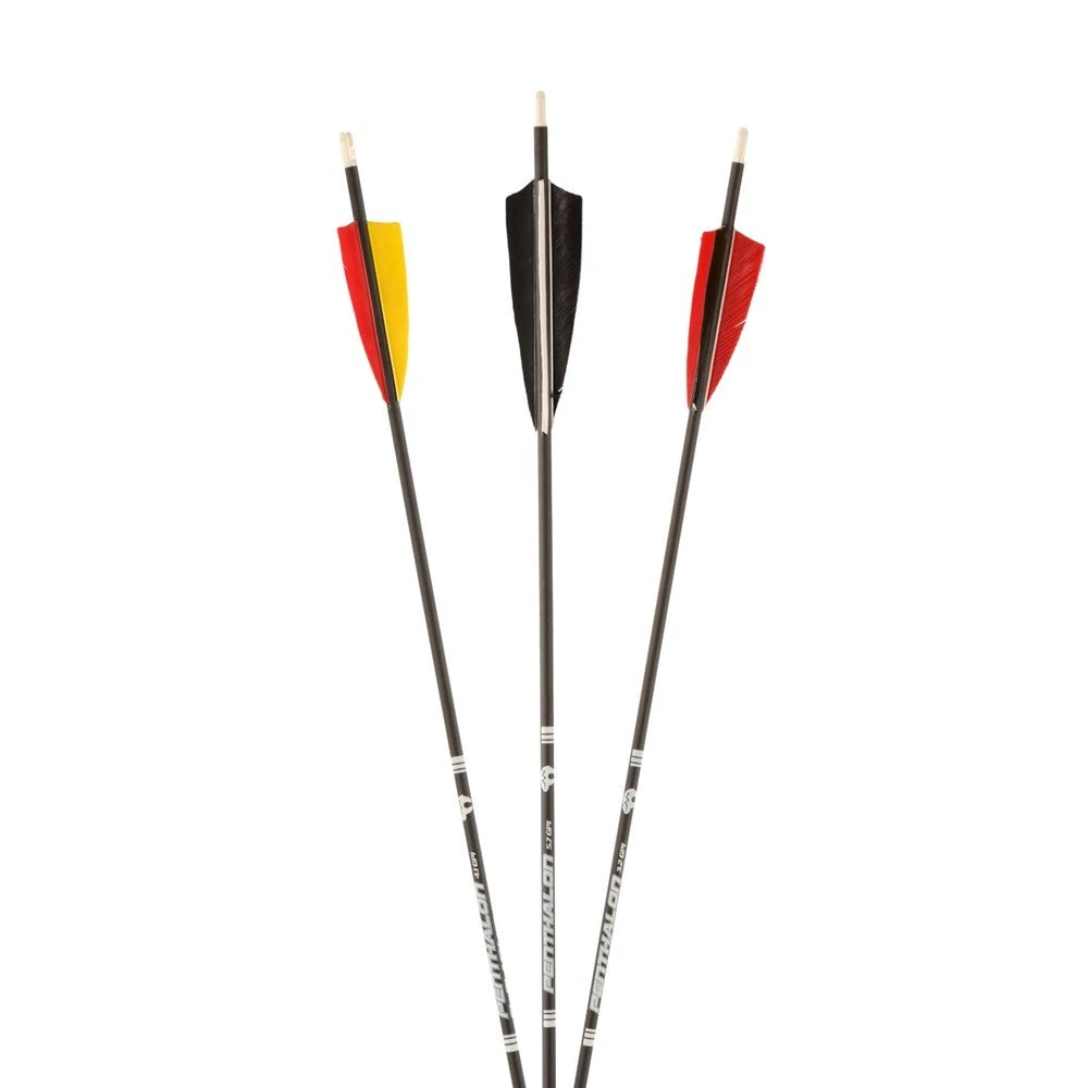 Shop-halona 12x Bearpaw Penthalon Slime Line Federn 400-1000 (500) Bogensport 2 Shop-halona 12x Bearpaw Penthalon Slime Line Federn 400-1000 (500) Bogensport