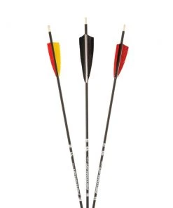 Shop-halona Bogensport 12x Bearpaw Penthalon Slime Line Federn 400-1000 (400)