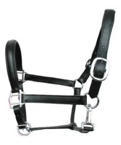 Shop-halona Reitsport Lederhalfter Pidero Serie 18 Gepolstert Versch. Größen 7 Shop-halona Reitsport Lederhalfter Pidero Serie 18 Gepolstert Versch. Größen