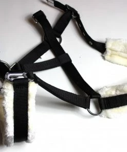 Shop-halona Nylonhalfter Pidero Serie 03 Nylon Versch. Größen Reitsport 10 Shop-halona Nylonhalfter Pidero Serie 03 Nylon Versch. Größen Reitsport