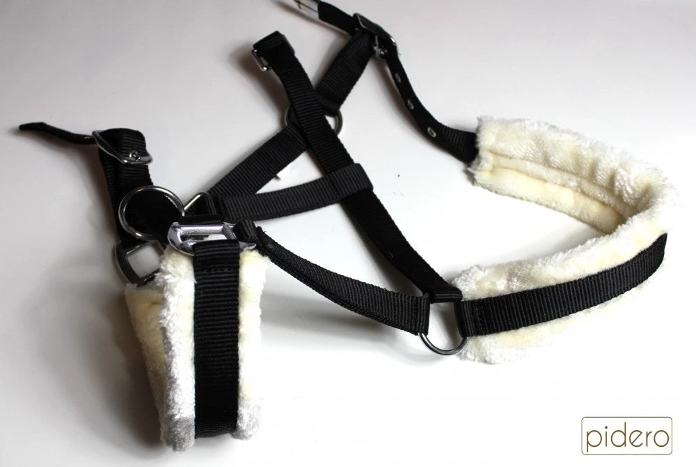 Shop-halona Nylonhalfter Pidero Serie 03 Nylon Versch. Größen Reitsport 5 Shop-halona Nylonhalfter Pidero Serie 03 Nylon Versch. Größen Reitsport