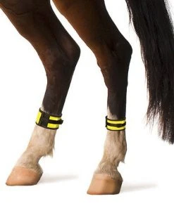 Shop-halona Sicherheitset Pferd, Leuchtgamaschen Und Reflex-Sicherheitsdecke 135 Cm Reitsport 9 Shop-halona Sicherheitset Pferd, Leuchtgamaschen Und Reflex-Sicherheitsdecke 135 Cm Reitsport