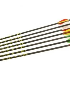 Shop-halona 12x Mach 3.1 Carbonpfeil 700