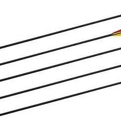 Shop-halona 5x Sportpfeil Fiberglas Pfeil, 28 Zoll, Bignami Italy Mit Spitze, Jugend Pfeile