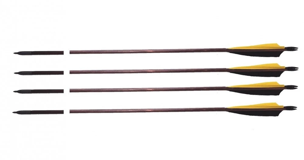 Shop-halona 4x Sportpfeil Traditionell 30 Zoll Schraubspitze Pfeile 3 Shop-halona 4x Sportpfeil Traditionell 30 Zoll Schraubspitze Pfeile