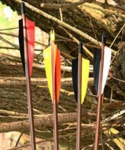 Shop-halona 4x Sportpfeil Traditionell 30 Zoll Schraubspitze Pfeile 9 Shop-halona 4x Sportpfeil Traditionell 30 Zoll Schraubspitze Pfeile