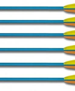 Shop-halona Pfeile 6x Alu-Pfeil Für Bogensport Big Archery 19 Zoll Sportpfeil Bogenschießen