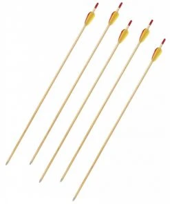 Shop-halona 5x Sportpfeil Holz Pfeil, 29 Zoll, Bignami Italy Mit Spitze, Jugend