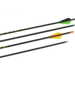 Shop-halona 12x Mach 3.1 Carbonpfeil 1100