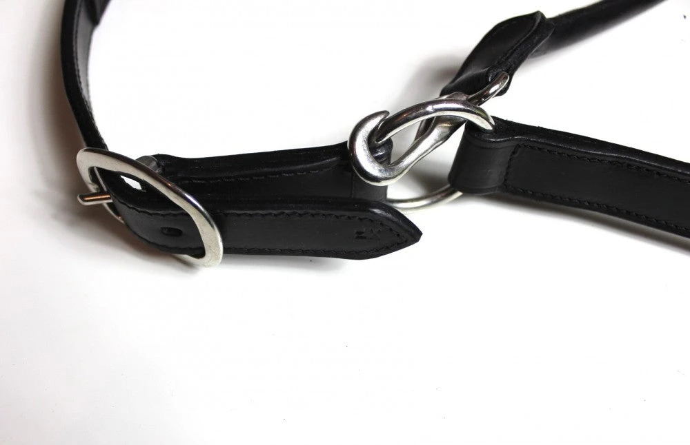 Shop-halona Reitsport Lederhalfter Pidero Serie 18 Gepolstert Versch. Größen 1 Shop-halona Reitsport Lederhalfter Pidero Serie 18 Gepolstert Versch. Größen