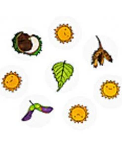 Shop-halona Entdecken Und Forschen Blätter, Bäume Und Früchte Stempel Set, Blätterstempel