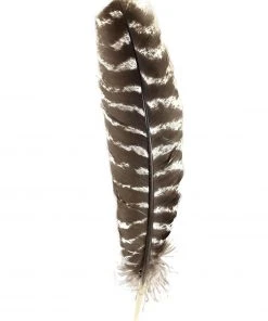 Shop-halona Schmuckfeder, Feder Z. Basteln Getigert Putenkiele Kinderwerkstatt