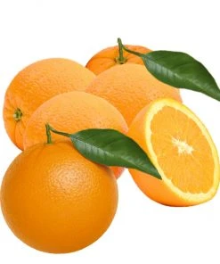 Noelia Natur & Trend 10 Kg Tafelorangen | Orangen Aus Spanien Naturbelassen | Direkt Vom Erzeuger