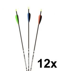 Shop-halona 12x Penthalon Slim Line Black Carbonpfeil 32 Bearpaw Spine 400-1000