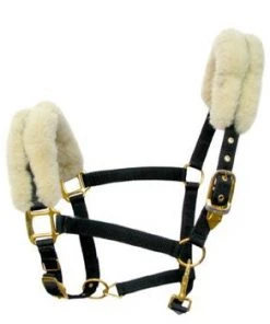 Shop-halona Nylonhalfter Pidero Serie 03 Nylon Versch. Größen Reitsport