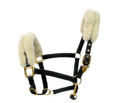 Shop-halona Nylonhalfter Pidero Serie 03 Nylon Versch. Größen Reitsport 1 Shop-halona Nylonhalfter Pidero Serie 03 Nylon Versch. Größen Reitsport