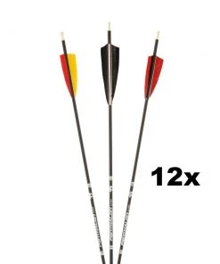 Shop-halona Bogensport 12x Bearpaw Penthalon Slime Line Federn 400-1000 (400) 5 Shop-halona Bogensport 12x Bearpaw Penthalon Slime Line Federn 400-1000 (400)