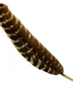 Shop-halona Schmuckfeder, Feder Z. Basteln Getigert Putenkiele Kinderwerkstatt