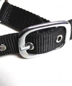 Shop-halona Reitsport Nylonhalfter Pidero Serie 05 Fleece Versch. Größen