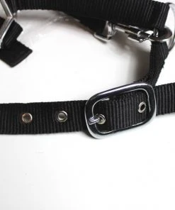 Shop-halona Nylonhalfter Pidero Serie 03 Nylon Versch. Größen Reitsport 11 Shop-halona Nylonhalfter Pidero Serie 03 Nylon Versch. Größen Reitsport