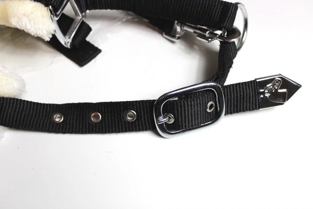 Shop-halona Nylonhalfter Pidero Serie 03 Nylon Versch. Größen Reitsport 6 Shop-halona Nylonhalfter Pidero Serie 03 Nylon Versch. Größen Reitsport