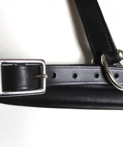 Shop-halona Reitsport Lederhalfter Pidero Serie 18 Gepolstert Versch. Größen 8 Shop-halona Reitsport Lederhalfter Pidero Serie 18 Gepolstert Versch. Größen