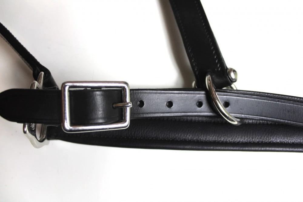 Shop-halona Reitsport Lederhalfter Pidero Serie 18 Gepolstert Versch. Größen 4 Shop-halona Reitsport Lederhalfter Pidero Serie 18 Gepolstert Versch. Größen