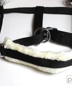 Shop-halona Nylonhalfter Pidero Serie 03 Nylon Versch. Größen Reitsport 9 Shop-halona Nylonhalfter Pidero Serie 03 Nylon Versch. Größen Reitsport