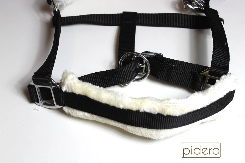 Shop-halona Nylonhalfter Pidero Serie 03 Nylon Versch. Größen Reitsport 4 Shop-halona Nylonhalfter Pidero Serie 03 Nylon Versch. Größen Reitsport