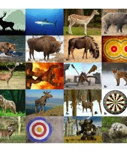 Shop-halona Zielscheiben Scheibenauflage, Zielscheibe Bogenschießen Stronhold Bunte Motive