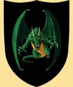 Shop-halona Rollenspiele Schild, Ritterschild, Holz-Schild F. Kinder Drache, Schwarz/grün