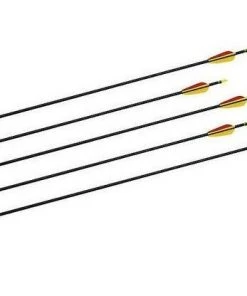 Shop-halona 5x Fiberglass Pfeil 30 Zoll, Sportpfeil Bignami Bogensport 8 Shop-halona 5x Fiberglass Pfeil 30 Zoll, Sportpfeil Bignami Bogensport