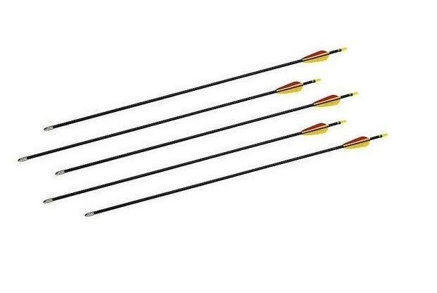 Shop-halona 5x Fiberglass Pfeil 30 Zoll, Sportpfeil Bignami Bogensport 4 Shop-halona 5x Fiberglass Pfeil 30 Zoll, Sportpfeil Bignami Bogensport