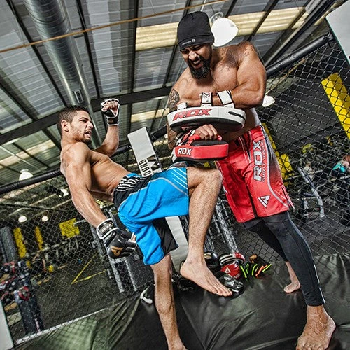 Shop-halona RDX T1 Curved Thai Kick Pad Schlagpolster Kampfsport Unterarm Rot Outdoor - Fitness 2 Shop-halona RDX T1 Curved Thai Kick Pad Schlagpolster Kampfsport Unterarm Rot Outdoor - Fitness