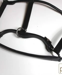 Shop-halona Reitsport Lederhalfter Pidero Serie 18 Gepolstert Versch. Größen