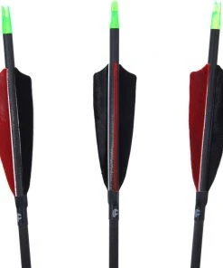 Shop-halona 12x Penthalon Komplettpfeil 40812 Traditional Black Naturfedern Bogensport